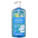 Papoutsanis karavaki σαμπουαν 600ml τονωση & ενυδατωση αντλια