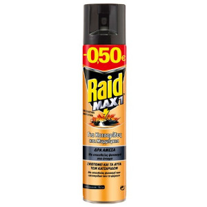 Raid κατσαριδοκτόνο spray 300ml  - 1