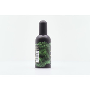 Tesori άρωμα sandalo del kashmir e vetiver 100ml Tesori - 5