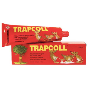 Trapcoll κόλλα για ποντίκια σε σωληνάριο 135gr Trapcoll - 1