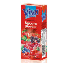 Viva χυμός με κόκκινα φρούτα 250ml Viva - 1