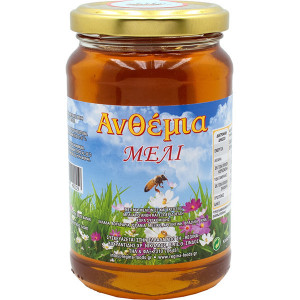 Ανθέμια μέλι 450gr Regina - 1