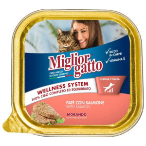 Miglior γατοτροφη pate 100gr σολομοσ