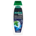 PALMOLIVE ΣΑΜΠΟΥΑΝ 350ML ANTI-DANDRUFF