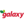 Galaxy